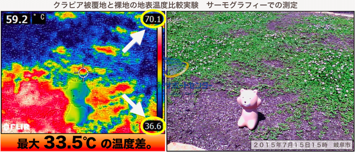 クラピアの地表温度上昇抑制効果をサーモグラフで撮影した画像