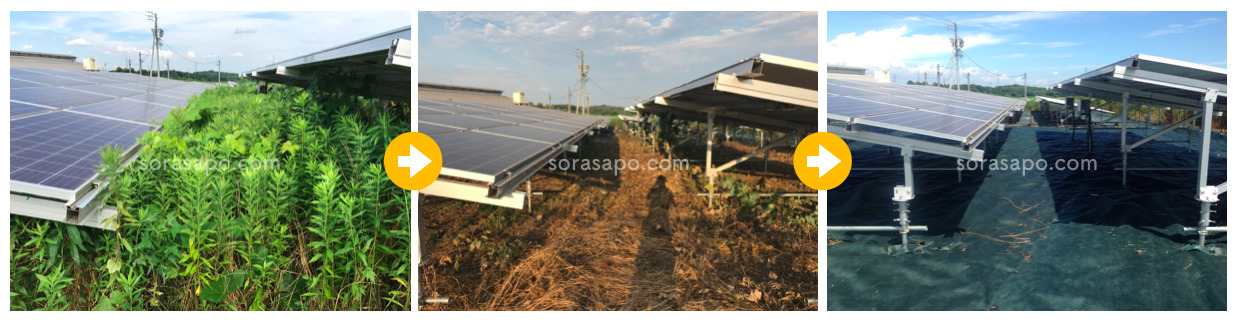 太陽光発電所の除草前・除草中・除草後の比較写真