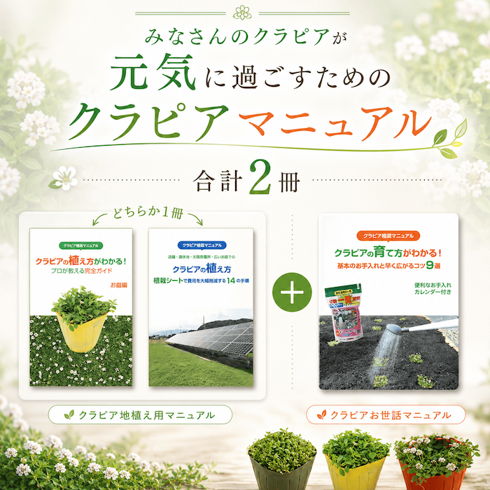 クラピアの植栽マニュアル