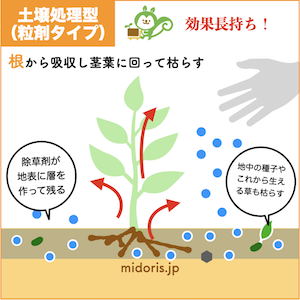 除草剤 土壌処理型の効果の特徴