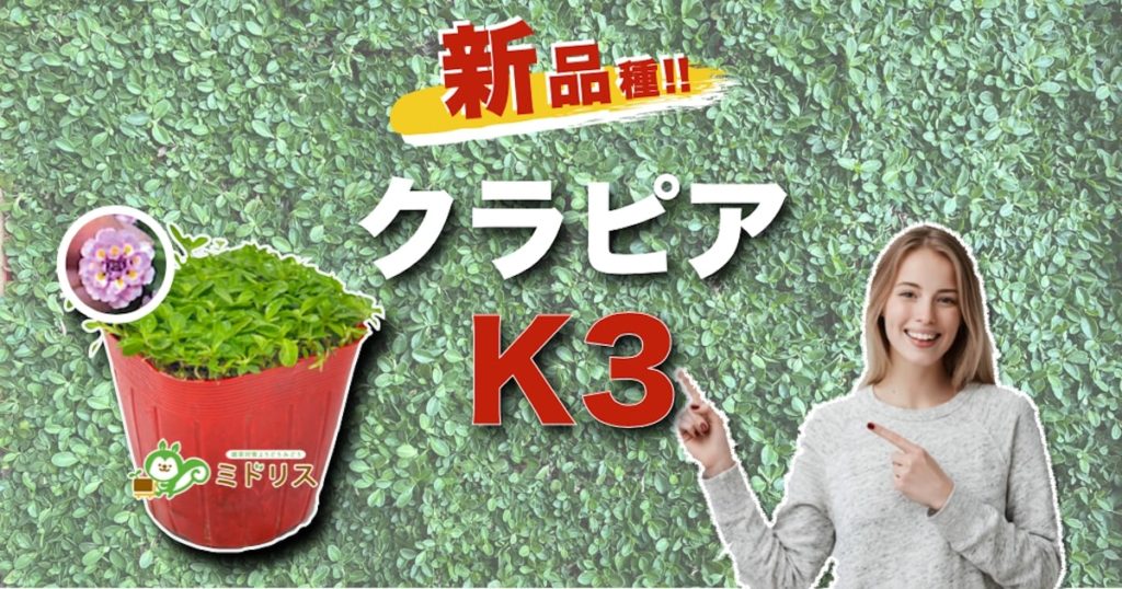 新品種！クラピアK3の特徴は７つ｜K5・K7との比較を大公開