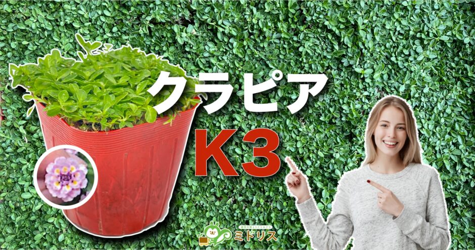 クラピアK3の特徴は７つ｜K5・K7との比較を大公開