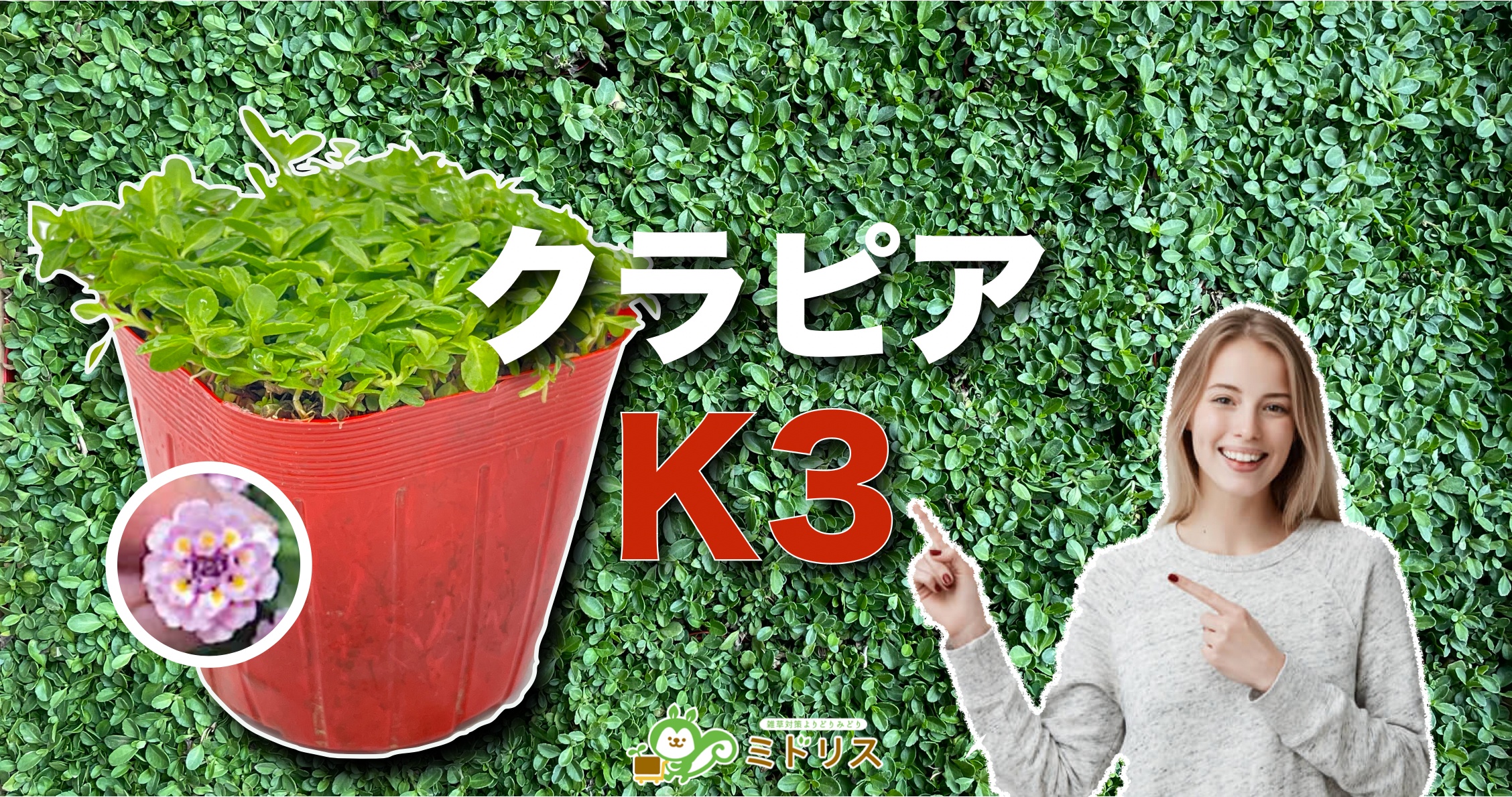 クラピアK3の特徴は７つ｜K5・K7との比較を大公開