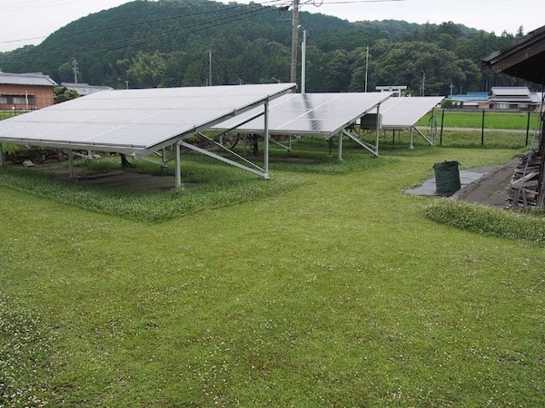 クラピアK５を植えた太陽光発電所の様子