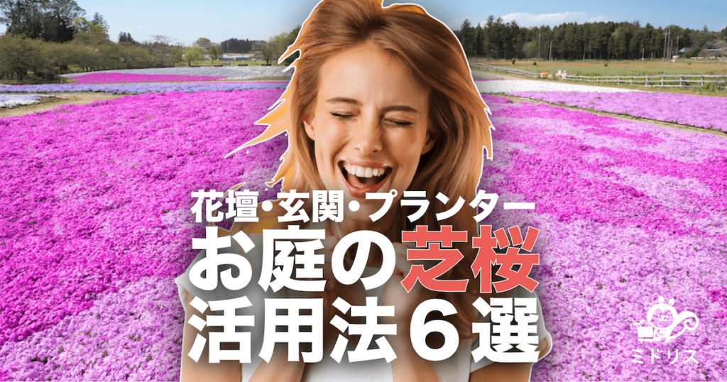 芝桜 シバザクラ の種類 花言葉や品種ごとの特徴を写真付きで解説 ミドリス 雑草対策クラピアの販売 施工