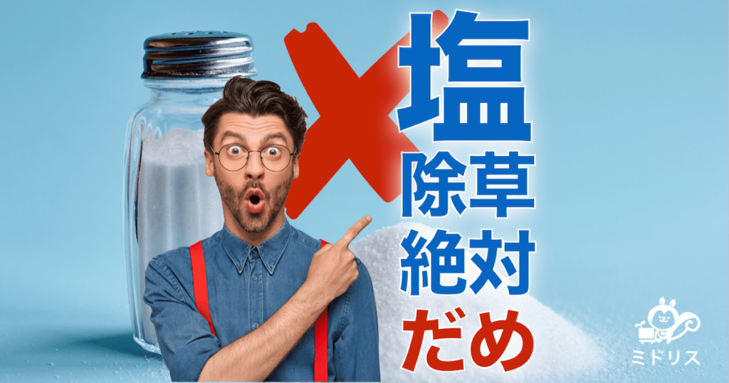 除草剤の代用品に塩を使ってはいけない理由