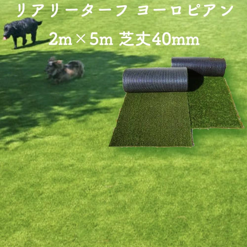人工芝 メモリーターフ 2m×5m 28㍉