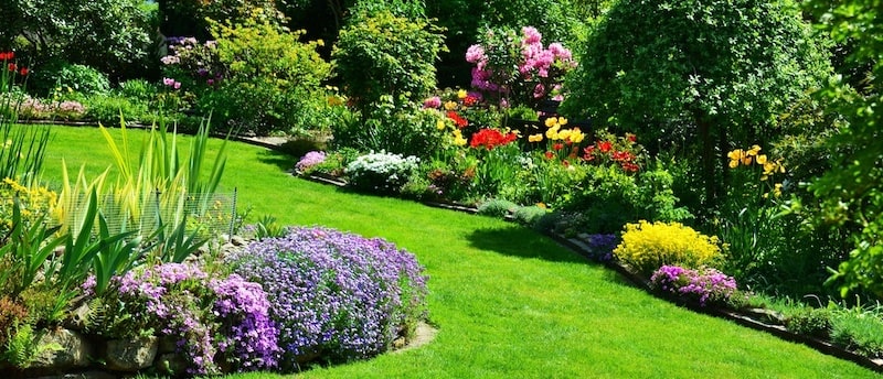 植物園のようなナチュラルで華やかな花壇