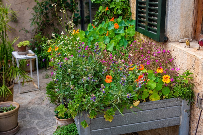 ガーデンボックスやプランターを使った手作り感のある花壇