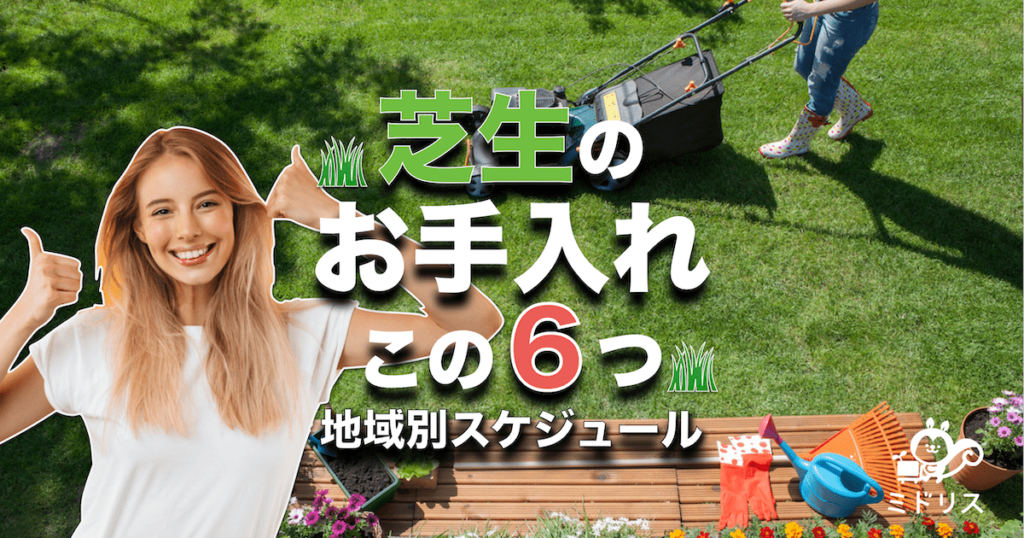 芝生の手入れ全6項目をわかりやすく解説 楽にする方法も ミドリス 雑草対策クラピアの販売 施工