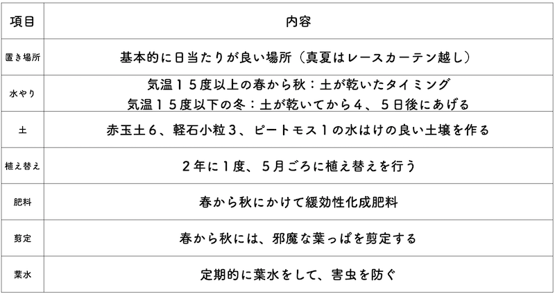 ザミオクルカスの育て方