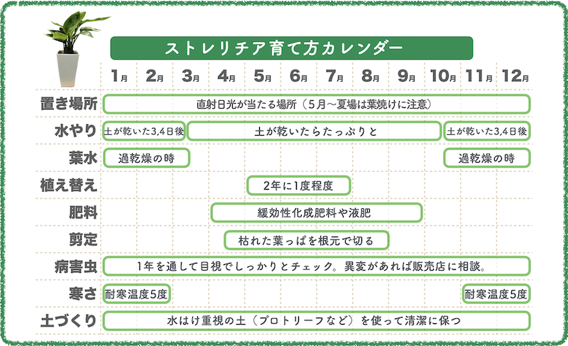 ストレリチアの育て方　育成カレンダー