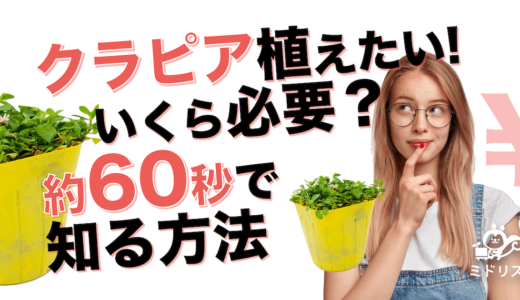 クラピアの費用と数量の見積もり計算