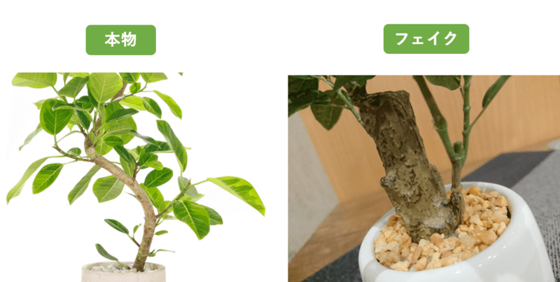 観葉植物　本物とフェイクの違い 連結部分