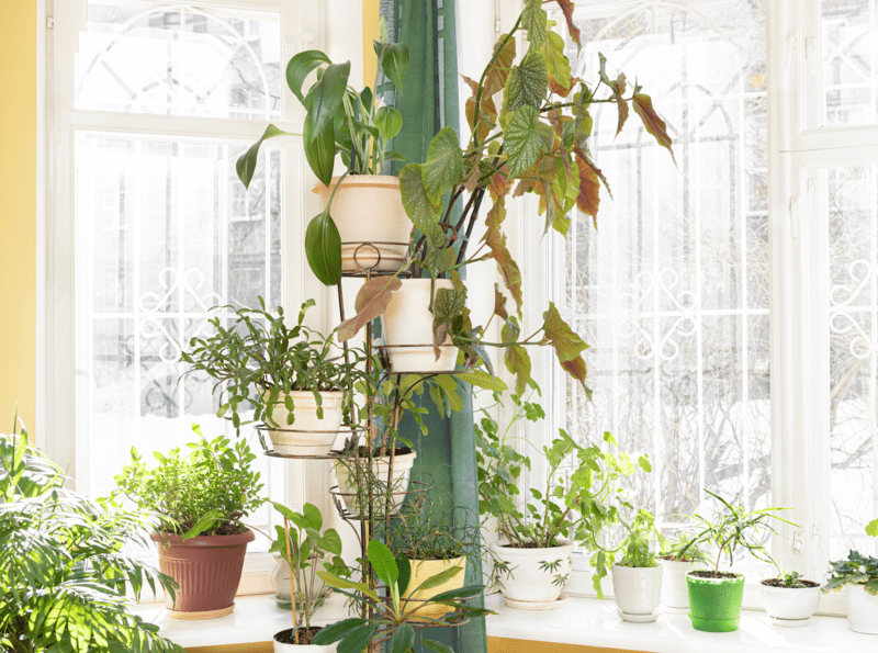おしゃれな観葉植物の台　タワー型