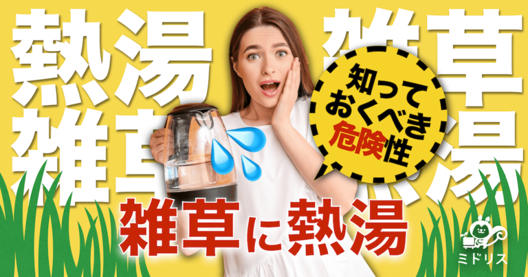 雑草に熱湯は効果アリ。知っておくべき注意点も解説。