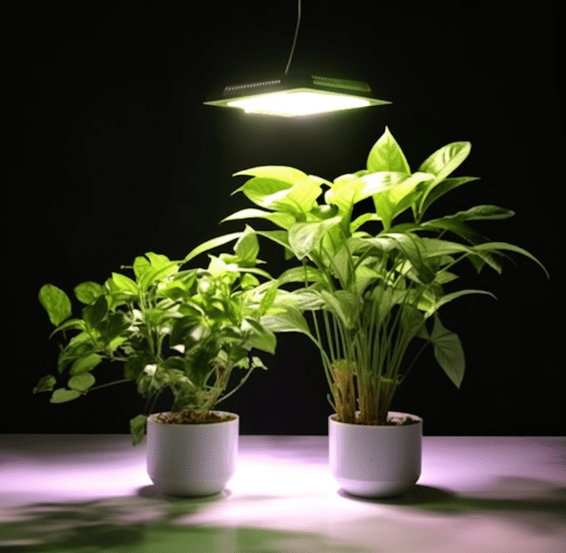 観葉植物用の育成（成長）ライト　吊り下げタイプ