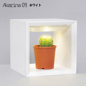 おすすめの観葉植物用の育成（成長）ライト　植物育成ライト LED Akarina09