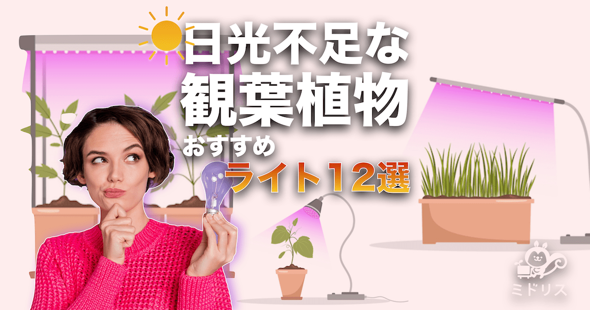 観葉植物の日光不足におすすめのライト