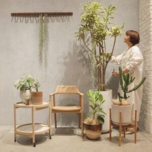 観葉植物におすすめの植木鉢 YAMATEI プラントポット/ライムポット＆ソーサー