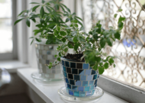 観葉植物におすすめの植木鉢 モザイクガラスプラントポット