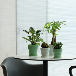 観葉植物におすすめの植木鉢 ideaco ミルクガラスプランターポット