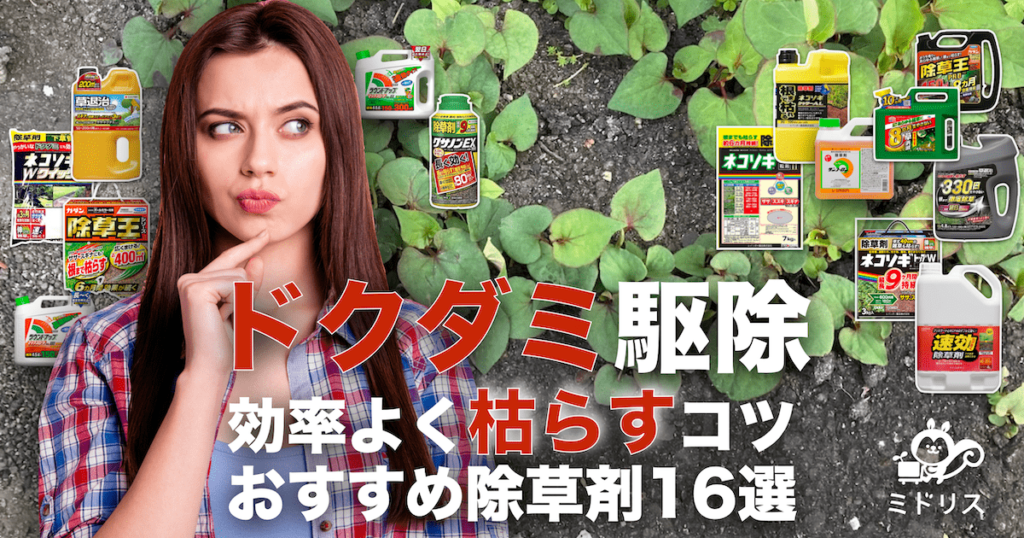 ドクダミ駆除に効果的なおすすめ除草剤16選|枯らすコツや時期を公開