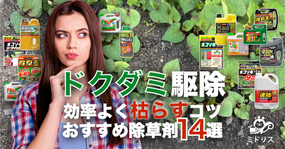 ドクダミ駆除に効果的なおすすめ除草剤14選｜枯らすコツや時期を公開