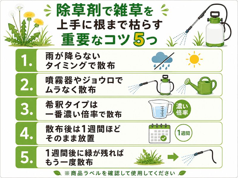 除草剤で上手に根まで枯らす重要なコツ5つ