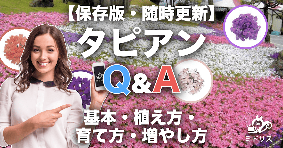 タピアンの基本情報から植え方、育て方、増やし方を画像付きで一問一答