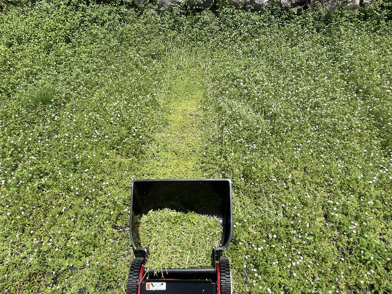 クラピアの刈り込みにおすすめの芝刈り機 手動式芝刈機 ハッピーバーディーモアー GSB-2000H