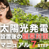 設置後の太陽光発電所の雑草対策｜雑草だらけから綺麗になった超成功事例