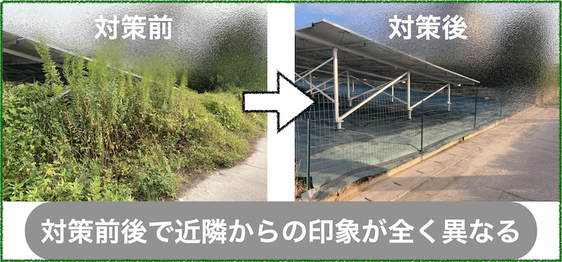 太陽光発電所の雑草によるトラブル