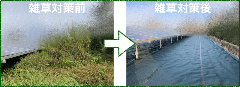 雑草に覆われた太陽光発電所が綺麗になる様子