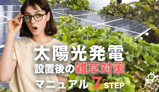 設置後の太陽光発電所の雑草対策｜雑草だらけから綺麗になった超成功事例