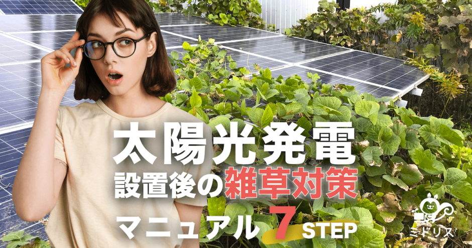 設置後の太陽光発電所の雑草対策｜雑草だらけから綺麗になった超成功事例