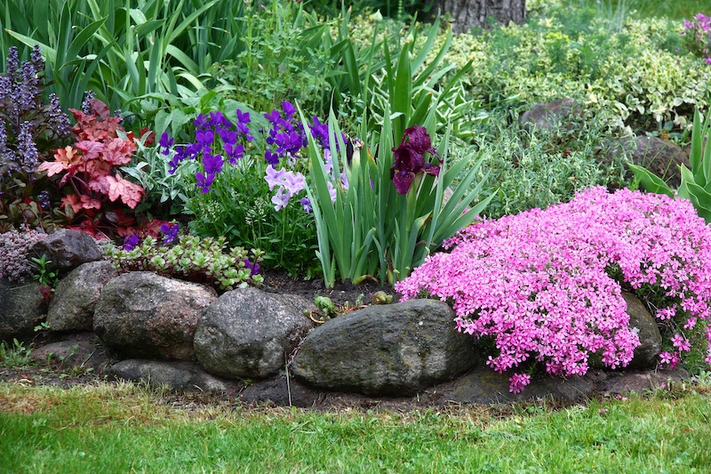 綺麗にグランドカバーで寄せ植えした花壇