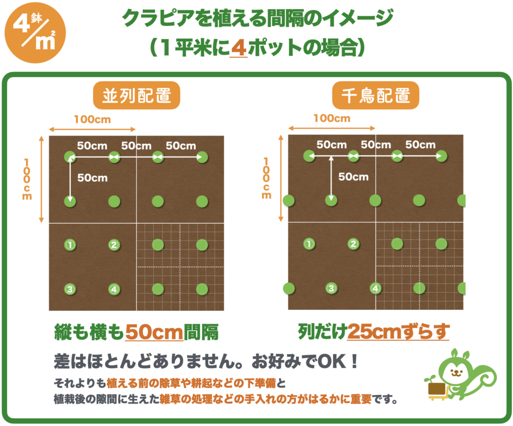 クラピアの植栽間隔のイメージ図（１平米あたり４ポット）・並列配置と千鳥配置